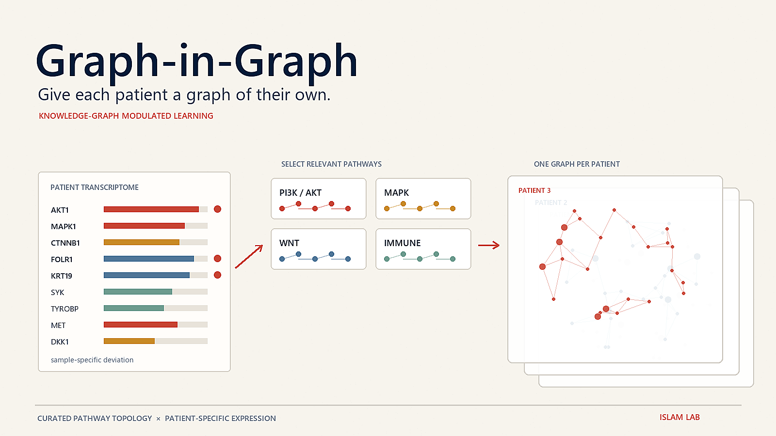 Graph-in-Graph: patient transcriptomes represented through pathway knowledge graphs.