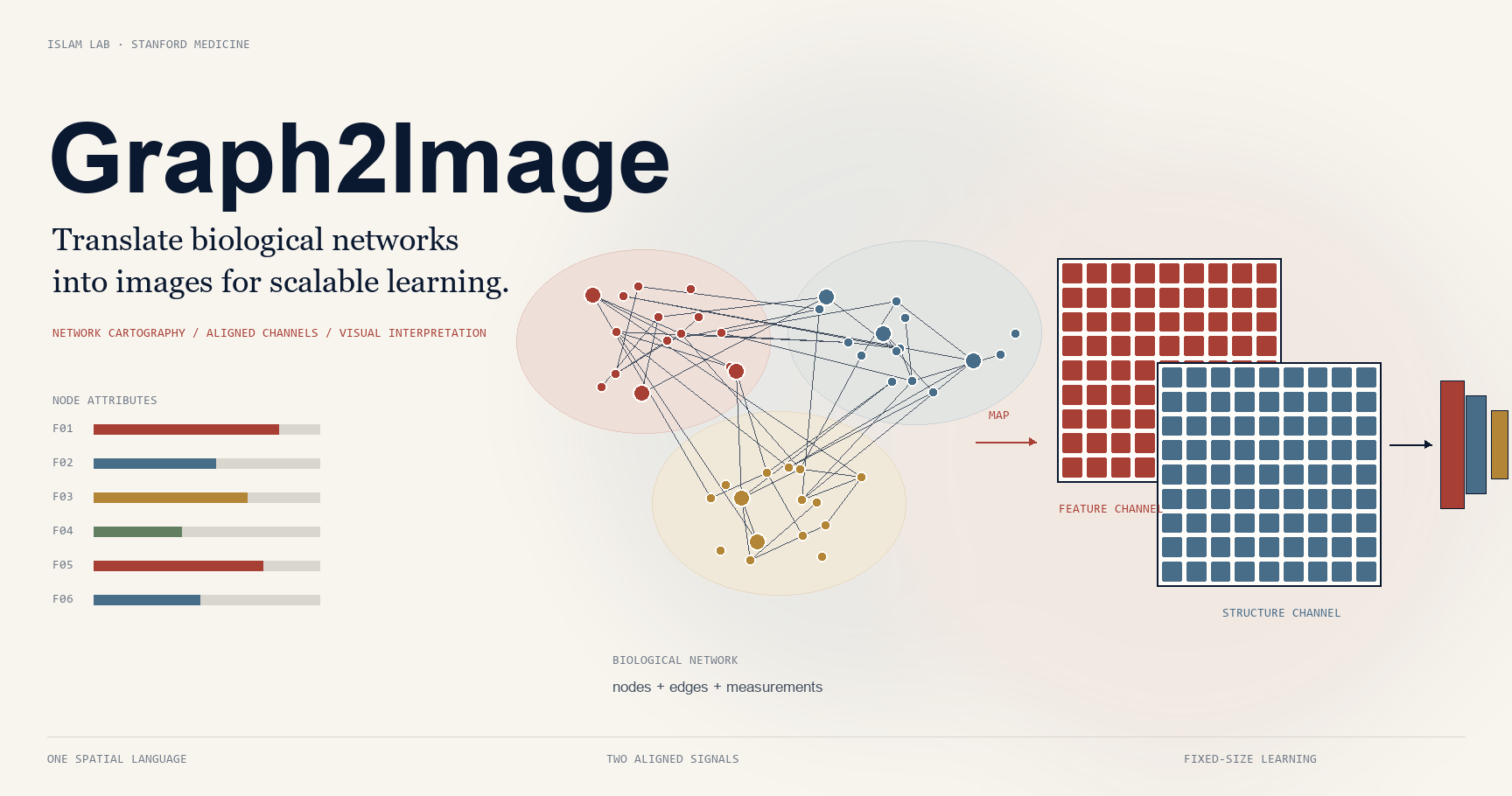 Graph2Image: biological networks transformed into image representations.