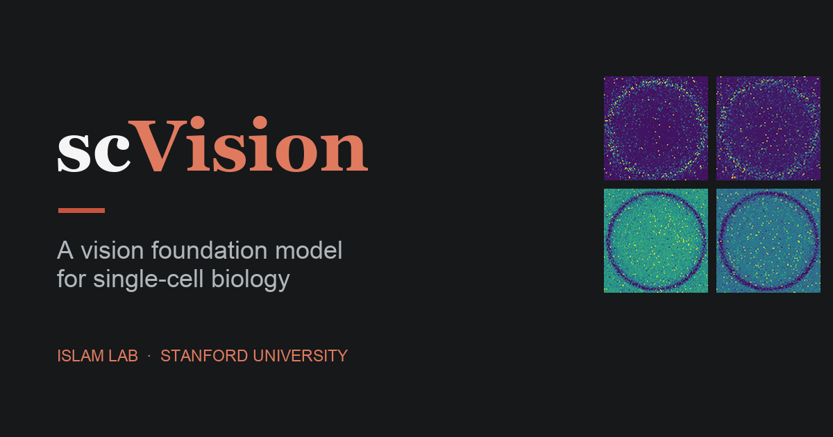 scVision: a vision foundation model for single-cell biology.